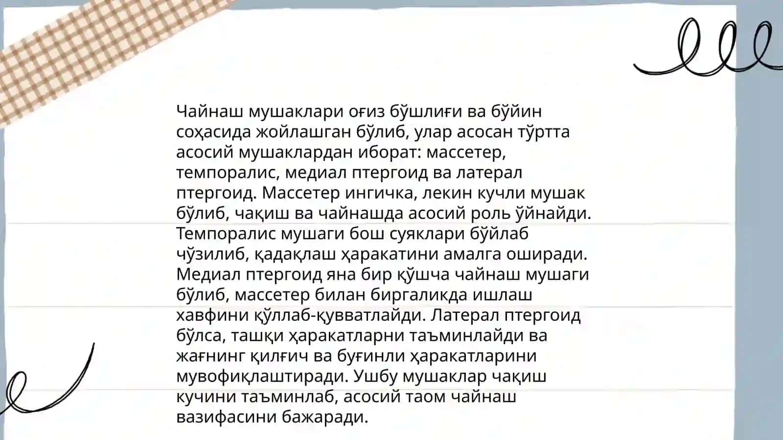 Чайнaш мушакларининг асосий вазифалари 4