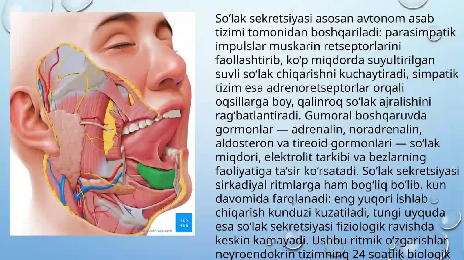 Salivodiagnostika 4