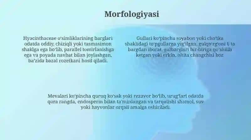 Geyrandoshlar oilasi o'simlik turi 4