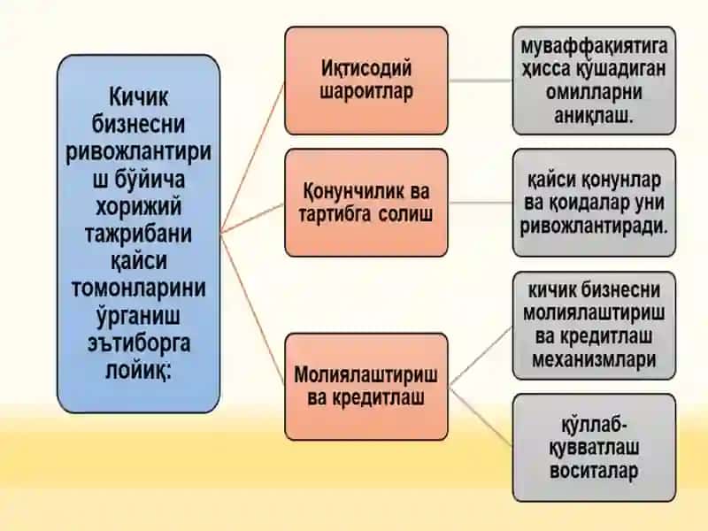 Кичик бизнес тадбиркорликни ривожлантиришнинг жаҳон тажрибаси 4