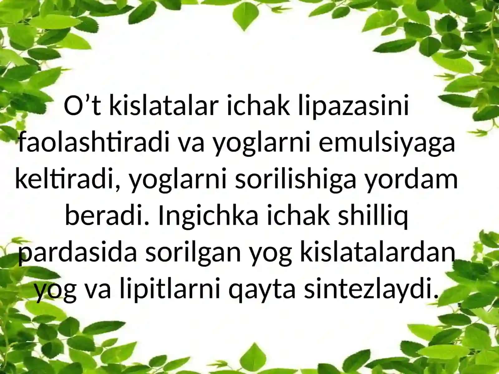 BioximyavaMolekulyarbiologiyadantayyorlaganTAQDIMOTI 4