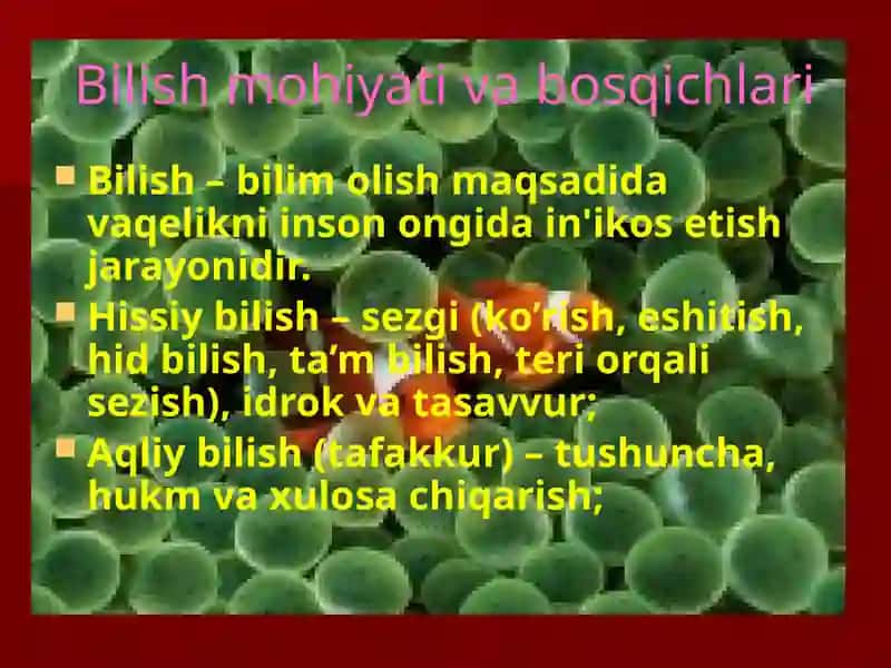 Formal mantiqning asosiy qonunlari (prinsiplari) 4