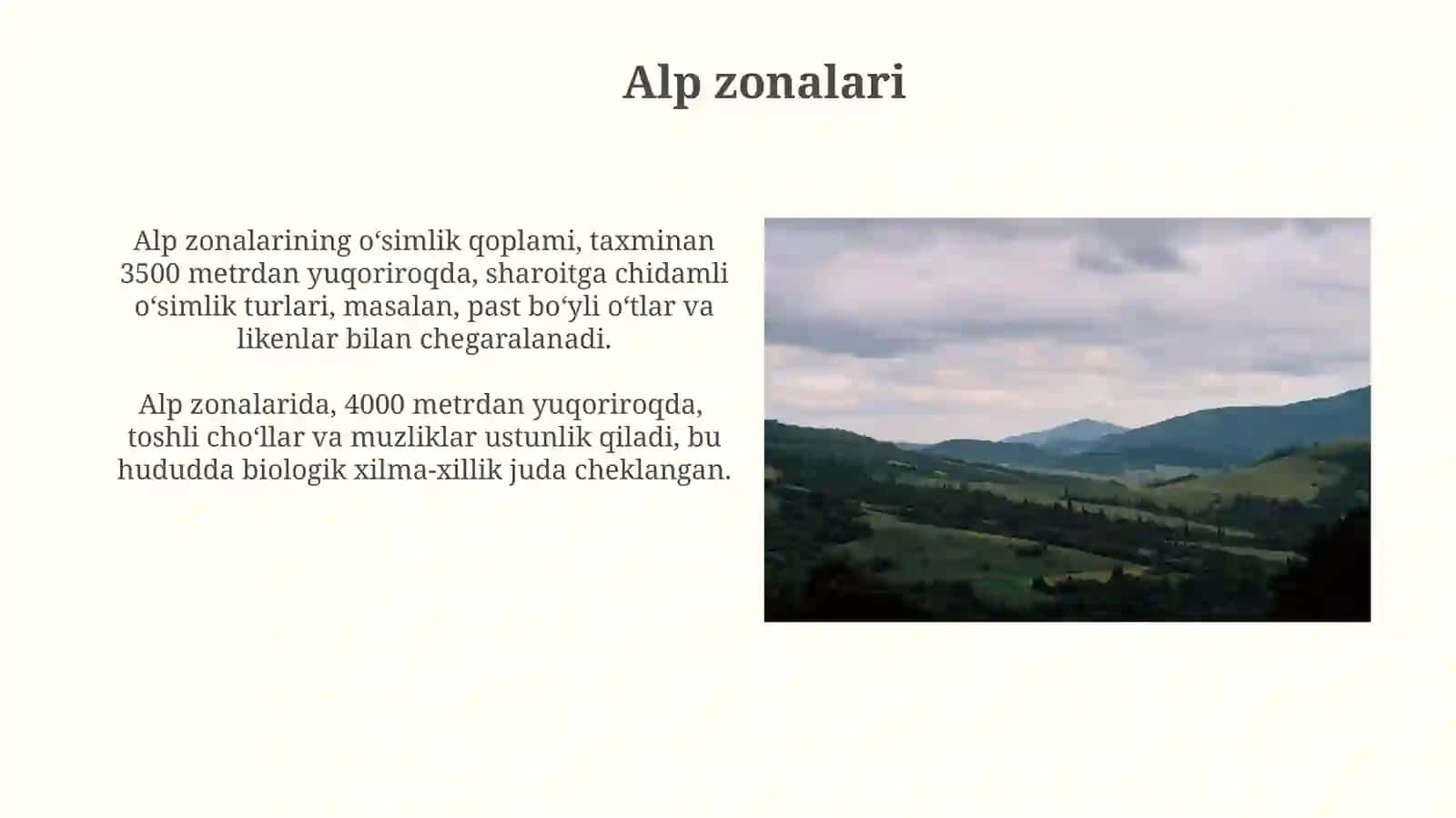Oʻrmon zonalari 4