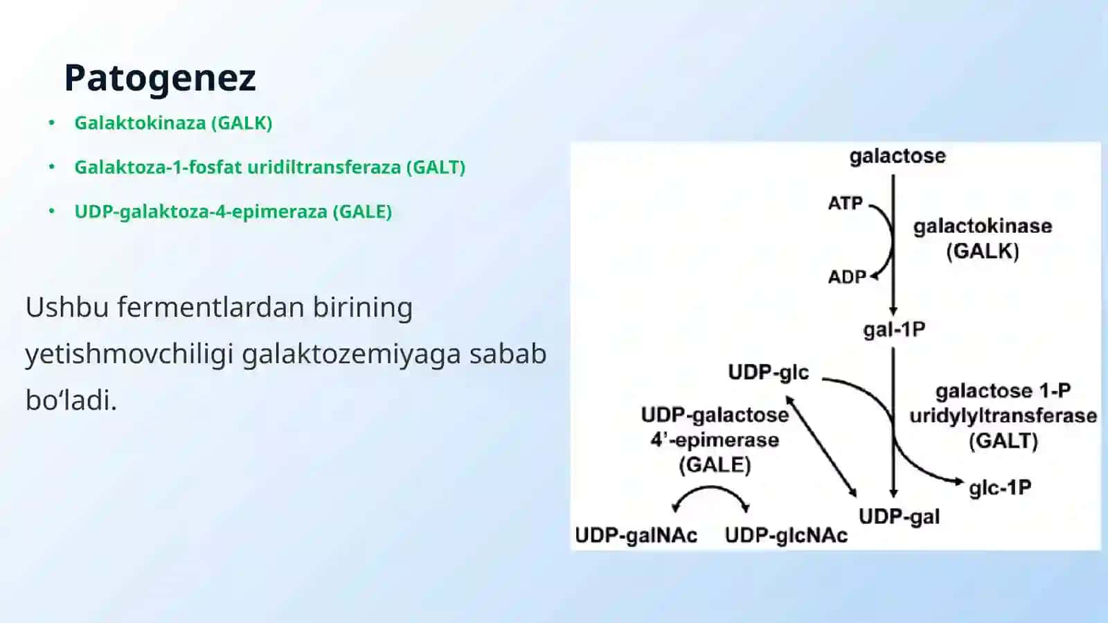 Uglevodlar almashinuvi buzilishi bilan kechuvchi kasalliklar (galaktozemiya, fruktozemiya,glikogenozlar) 4