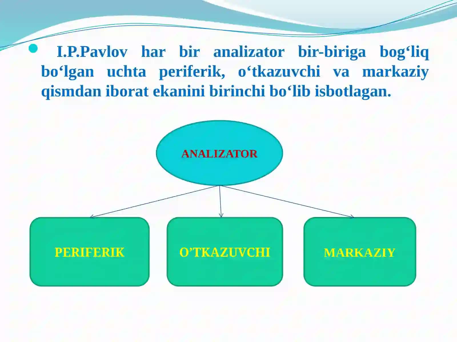 Yosh fiziologiyasi va gigiyenasi 4