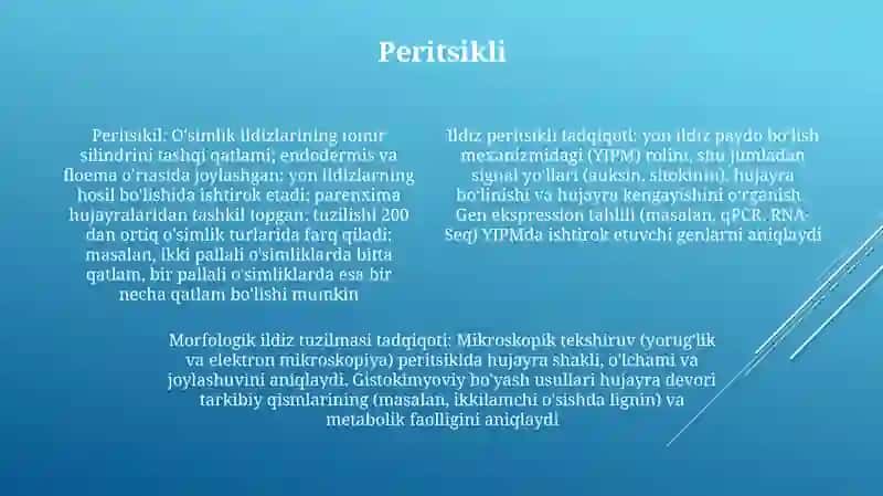 Ildizning marfologik tuzilishini urganish 4