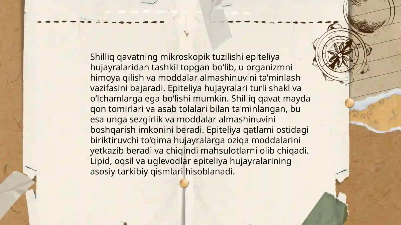 Og’iz shilliq qavatini o’sma oldi xolatlarining morfologik tuzilishi 4