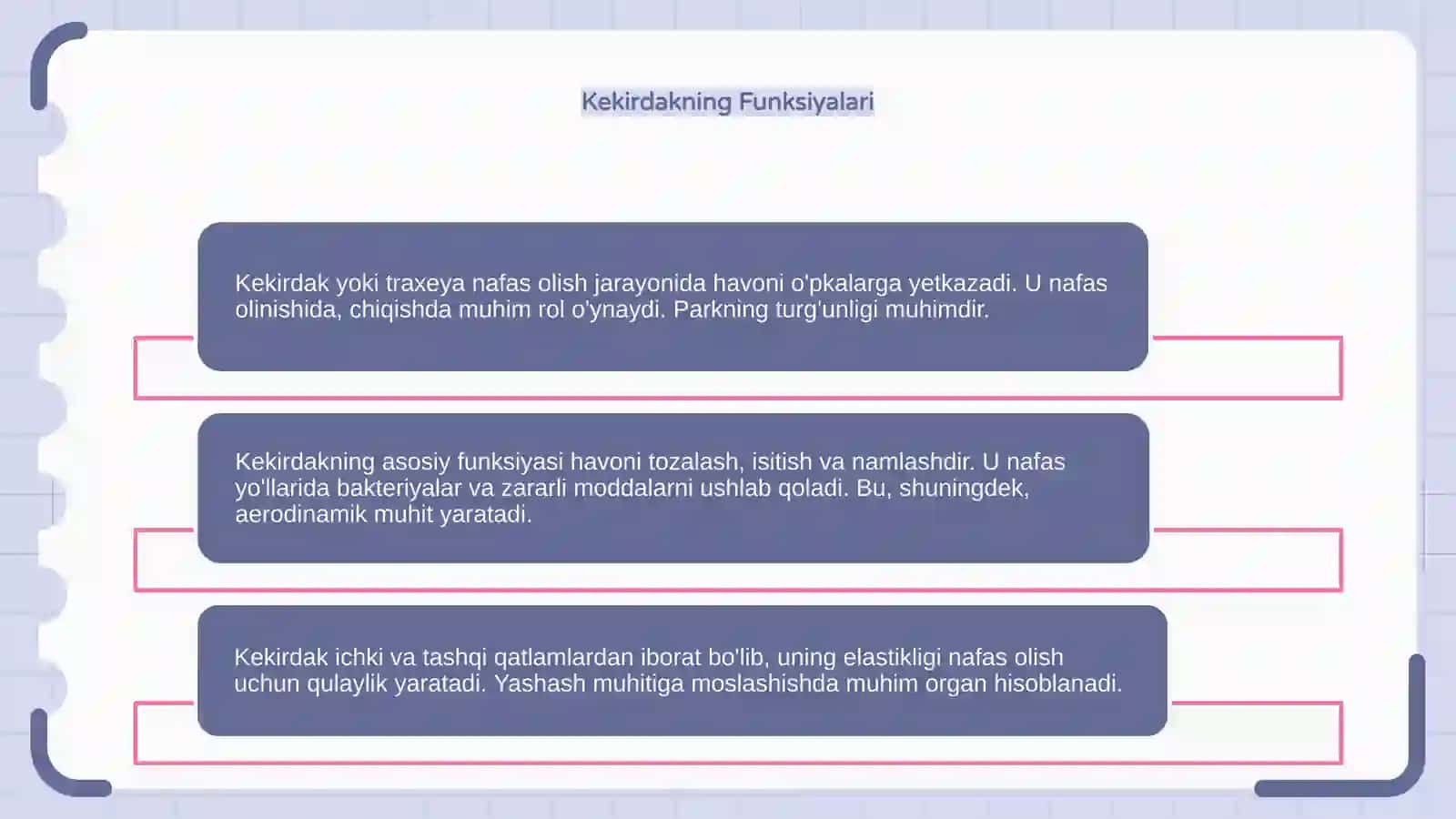 Kekirdak (trachea) 4