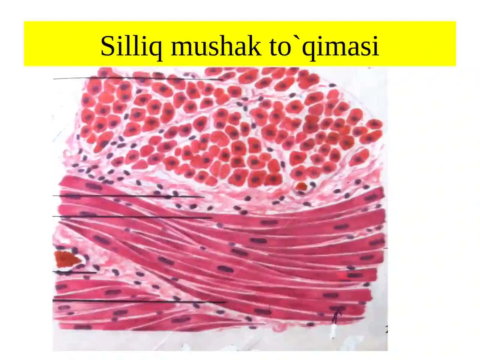 MUSHAK TO`QIMASI 4