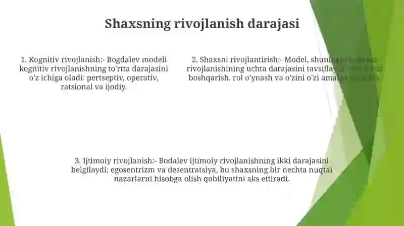 Individ, Shaxs Va SubʼEkt Taraqqiyoti Darajalarining Muofiqlik Va Natijaviylik Klassifikatsiyasi 4