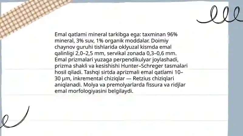 Doimiy tishlovdagi chaynov guruhi tishlarining tuzilishi 4