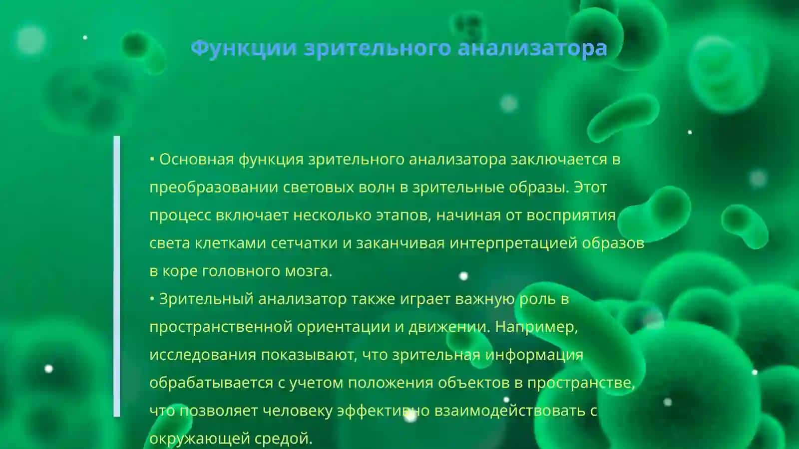 Нейропсихология строение зрительный анализатор 4