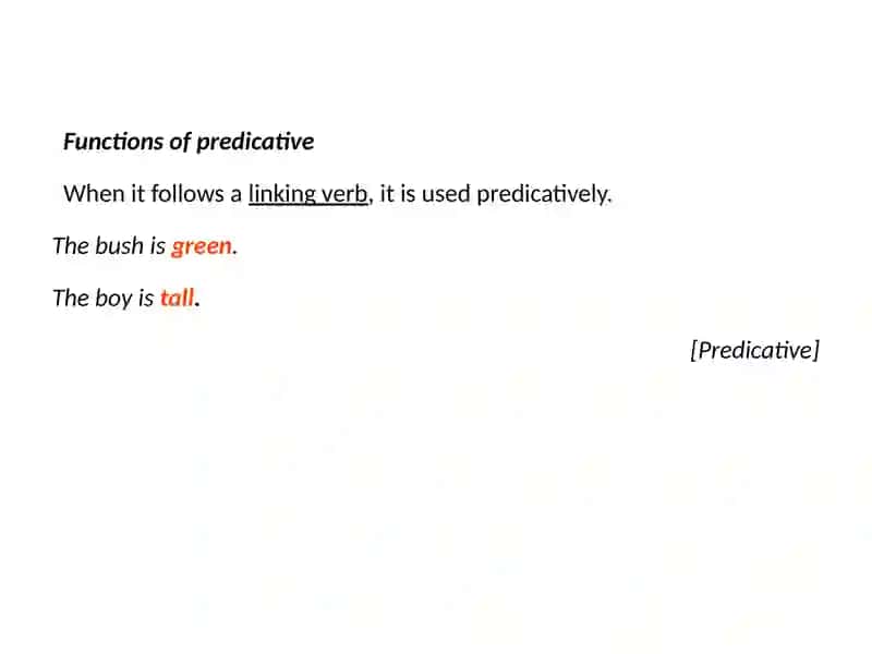 Adjective 4