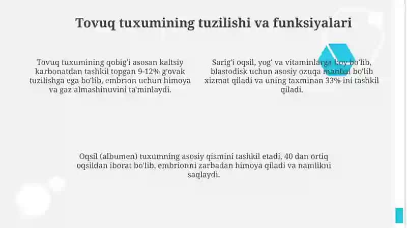 Hayvonlarda jinsiy hujayralarning tuzilishi tovuq embrionining taraqqiyoti reproduktiv sistema 4