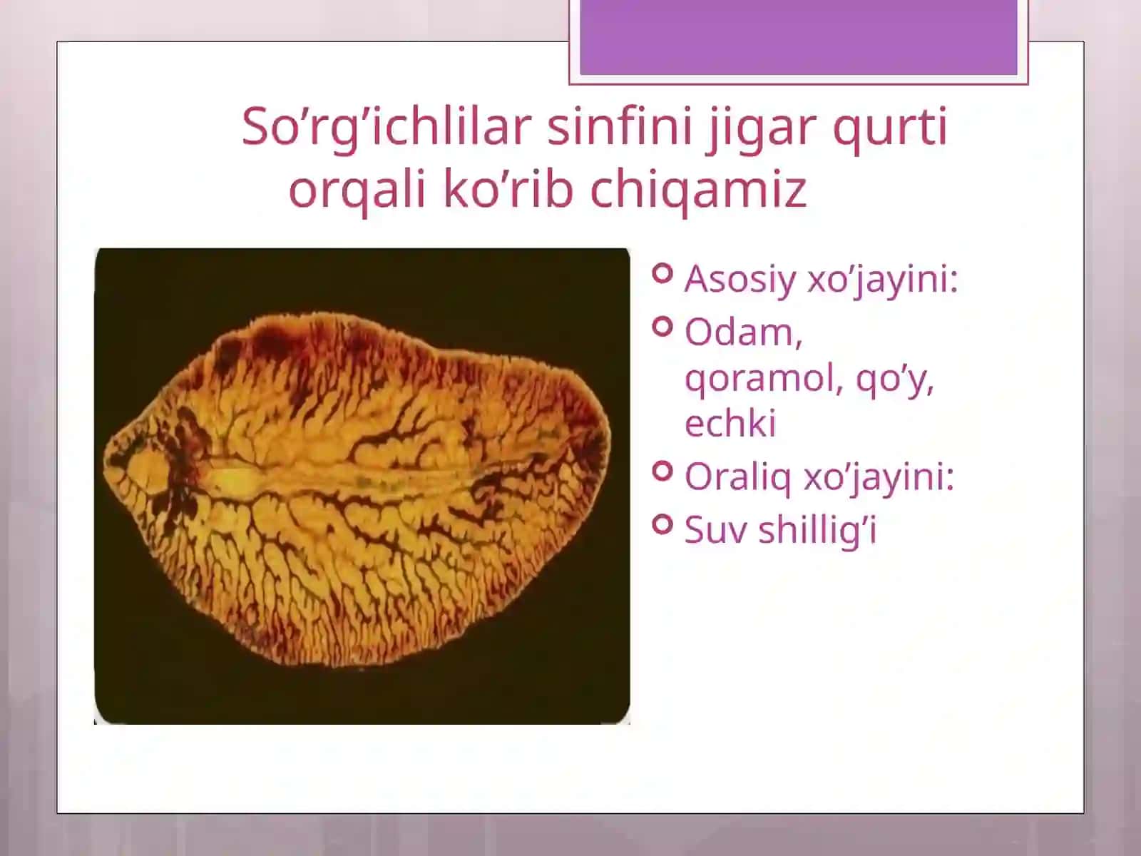 Tasmasimon chuvalchanglar odam parazitlari 4