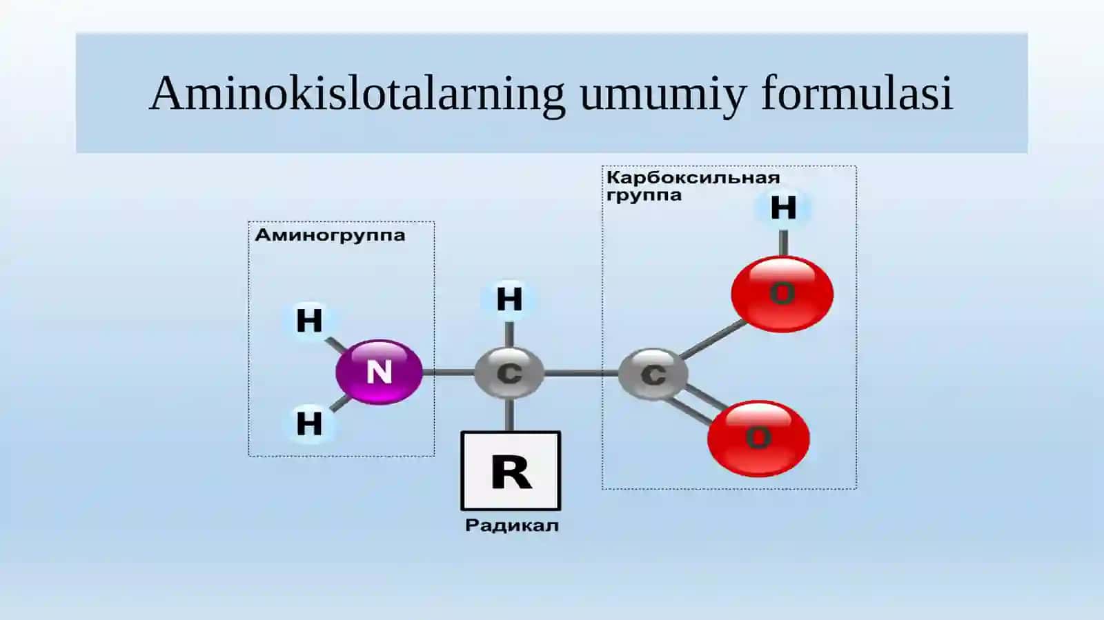 AMINOKISLOTALAR 4
