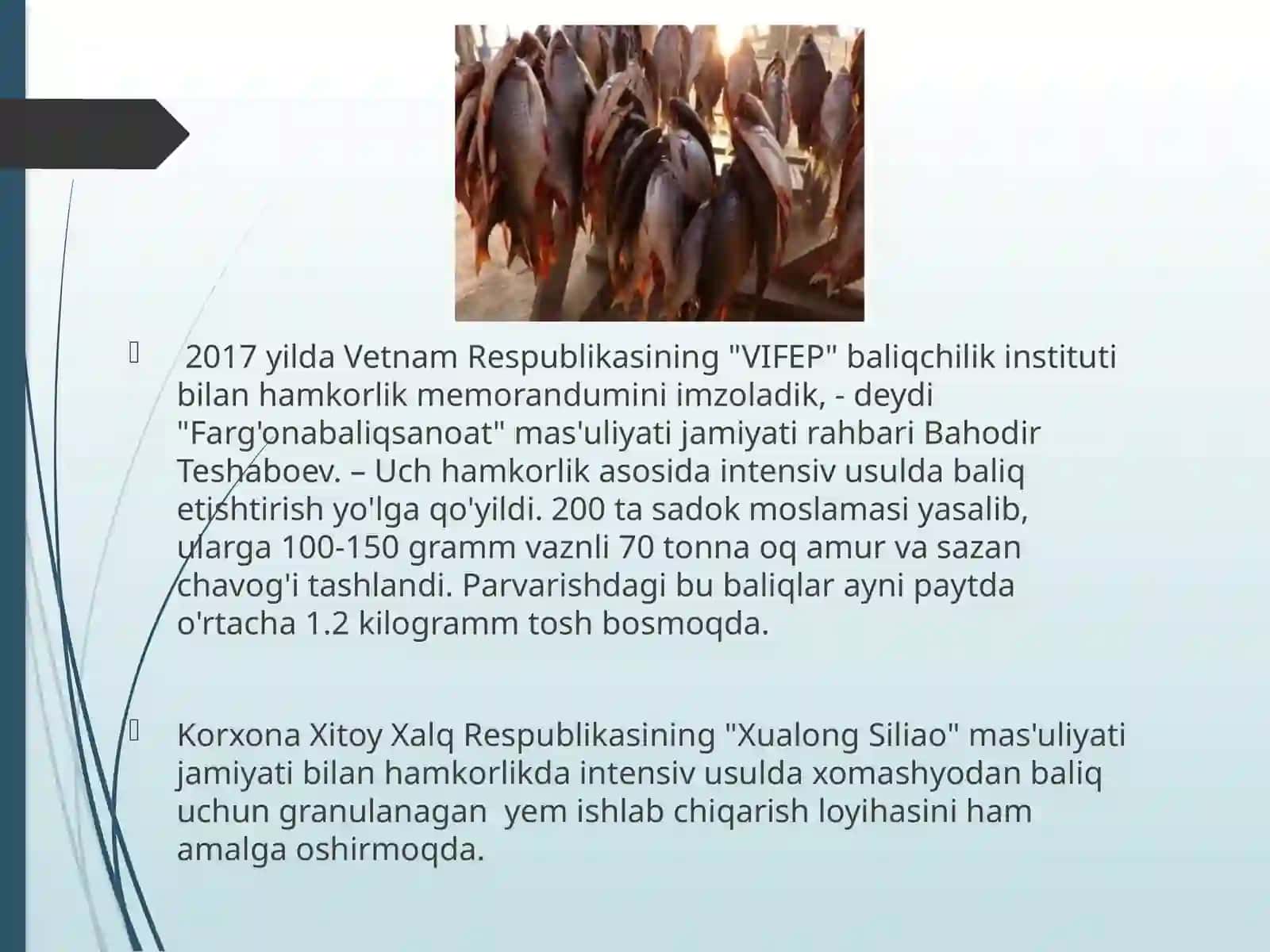 Baliqchilikning iqtisodiy ahamiyati 4