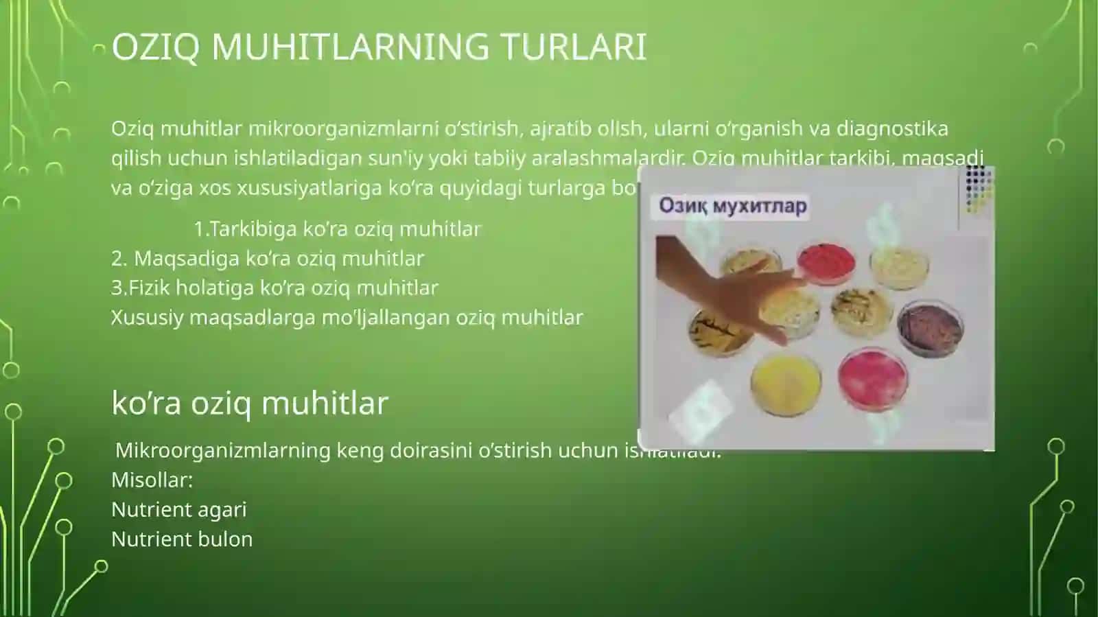 Oziqmuhitlar: anaerob va aerob bakteriyalarni ajratib olish 4