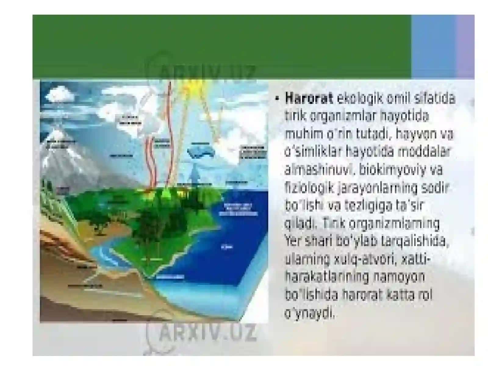 Kimyoviy jarayonlar tezligi va haroratning taʼsiri 4