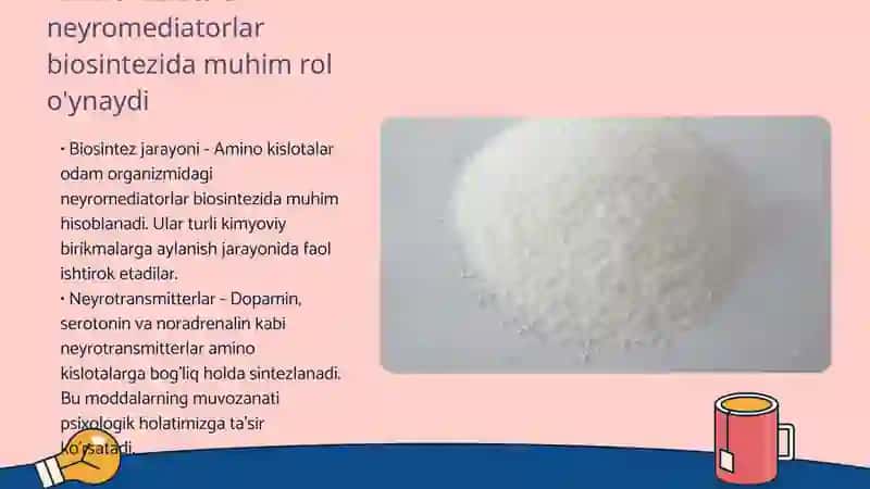 Neyromediatorlar biosintezi 4