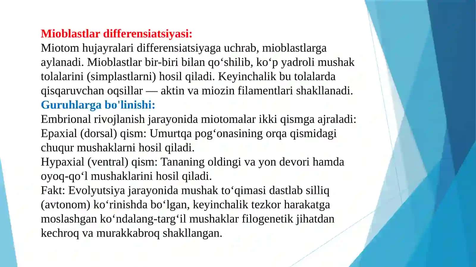 Mushak tizmning filogenetik rivojlanishi taqdimot 4