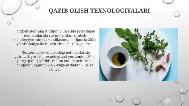 Respublikamizdagi neft zahiralari 4