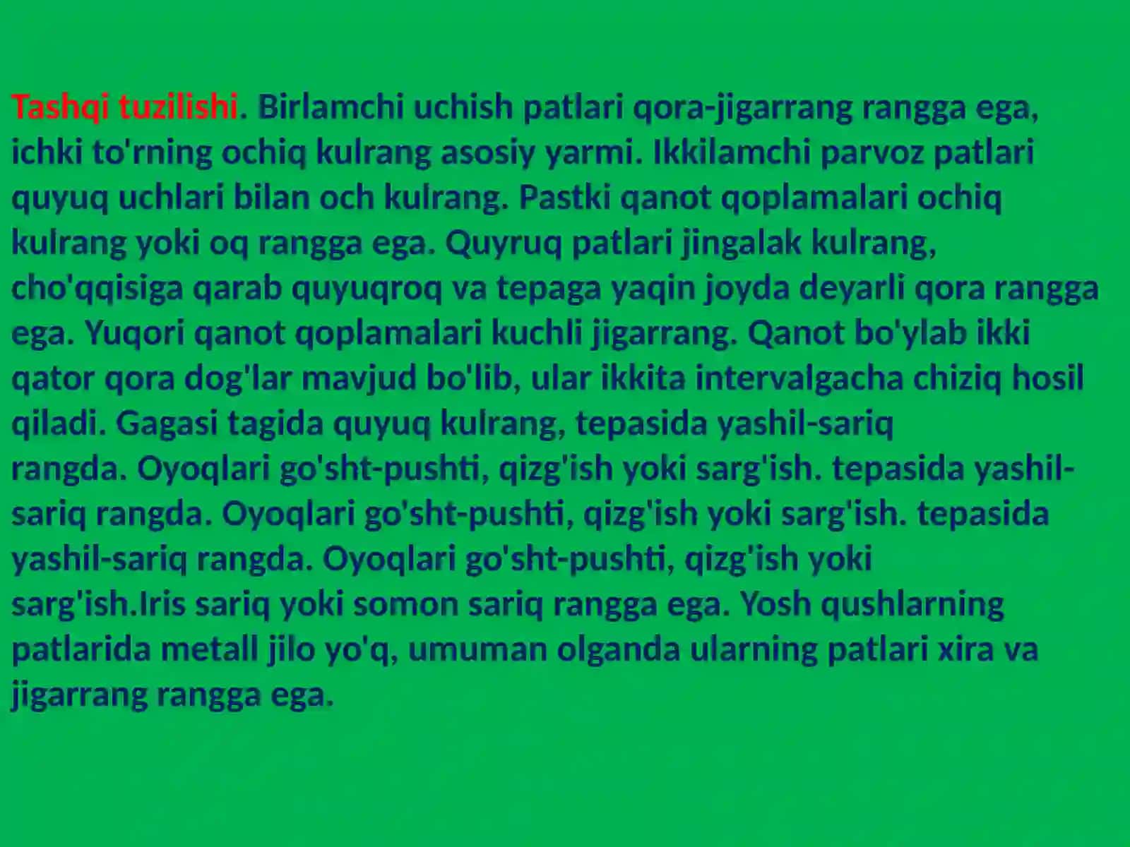 Qora kaptar 4