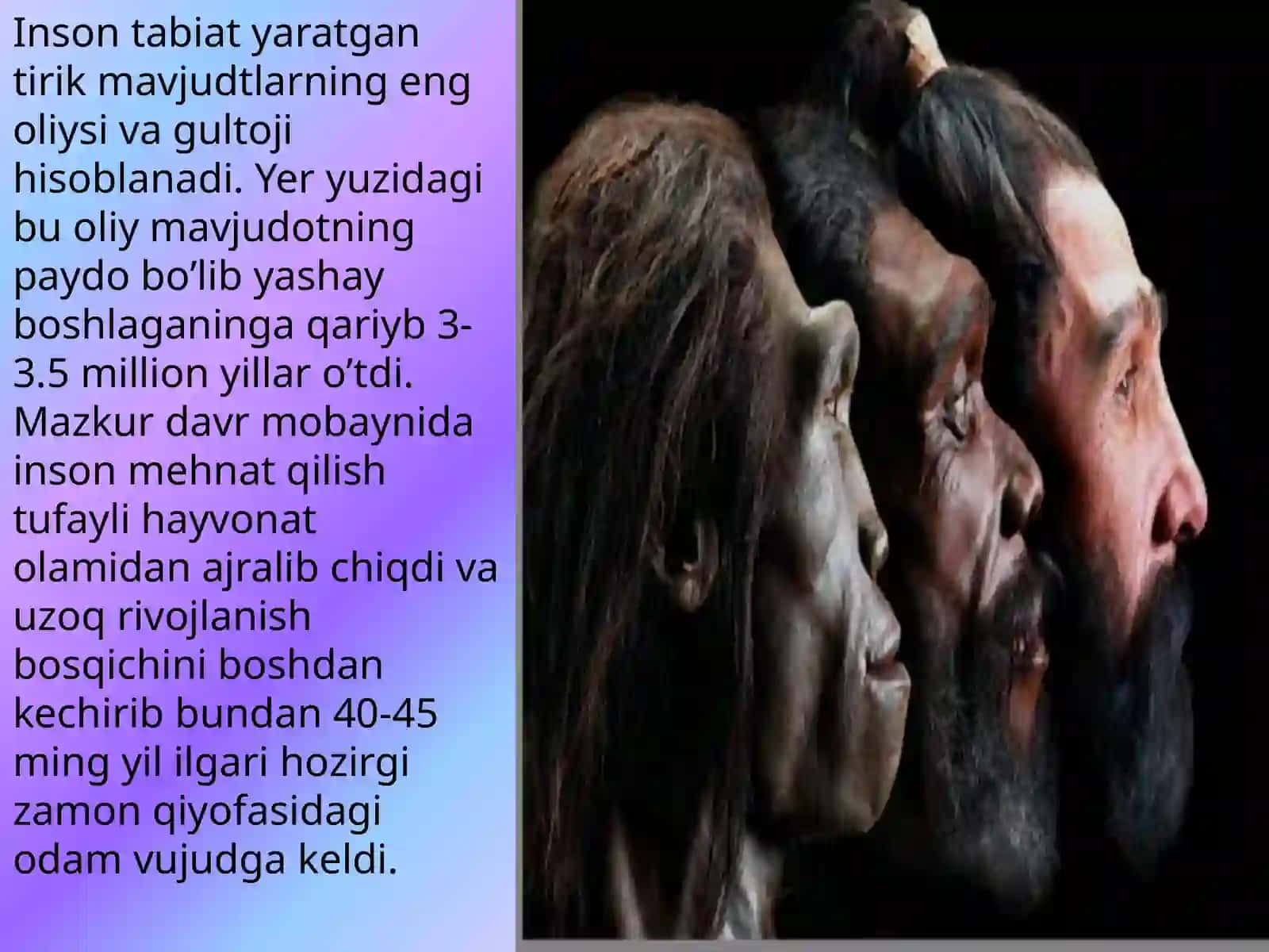 Insoning ilk vatanini aniqlashdagi ingliz olimi Luis Liki tadqiqotlari 4