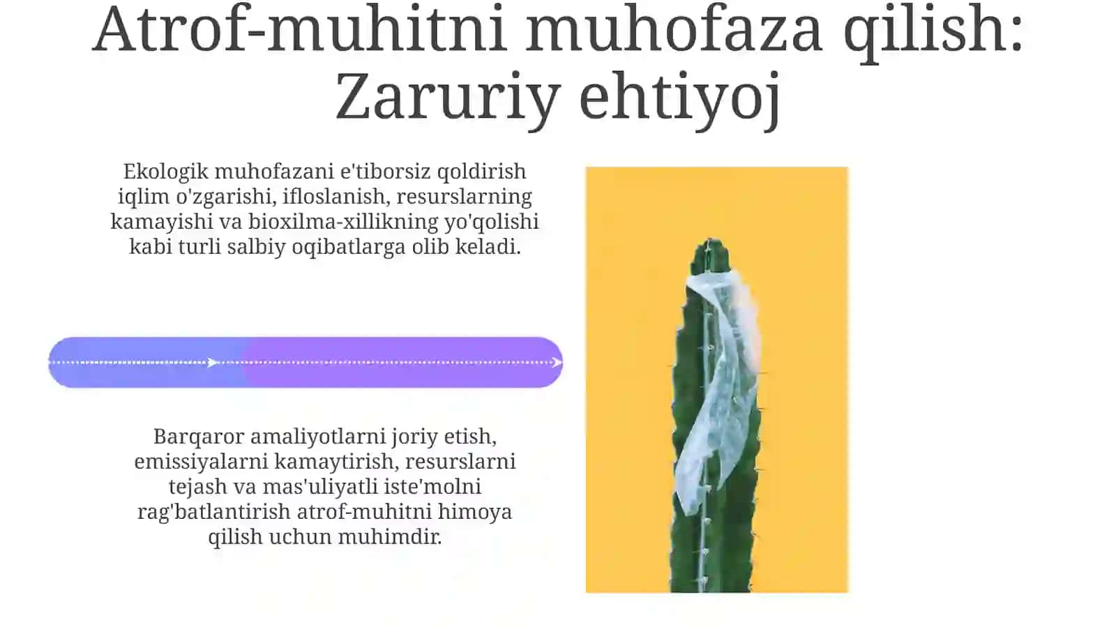 Atrof-muhitni muhofaza qilish qoidalari iqtisodiy ta'siri 4