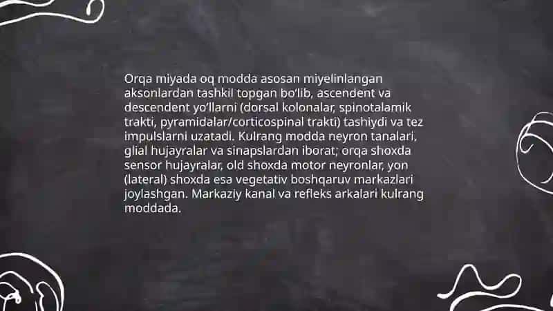 Orqa miya 4