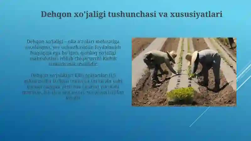 Dehqon xoʻjaliklarining huquqiy holati 4