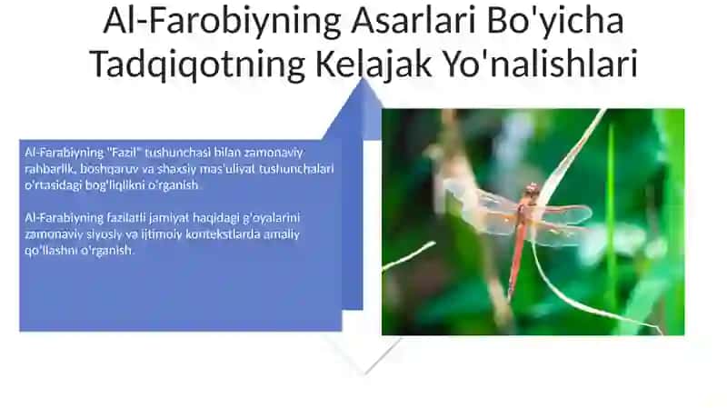 Abu Nasr Forobiyning Fozil jamiyat haqidagi fikrlari va uning bugungi kundagi ahamiyati 4