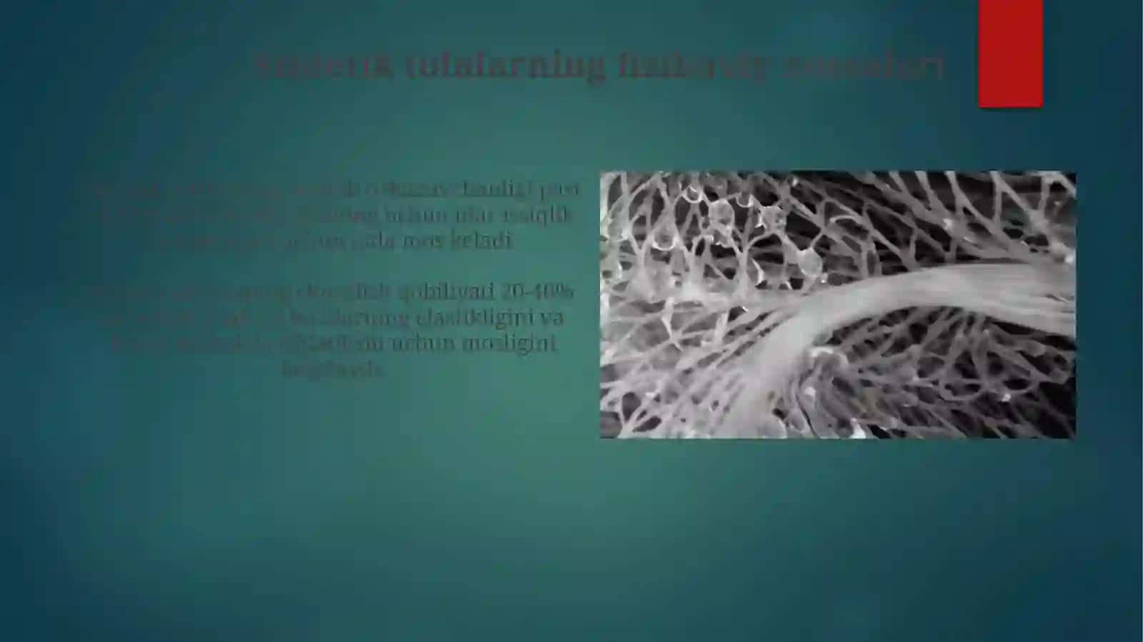 Sintetik tolalarning fizik mexanik xossalari 4