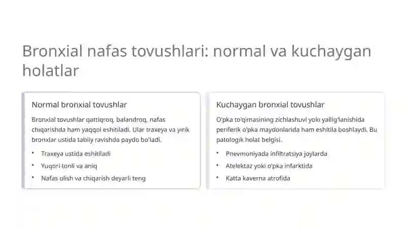 O'pka auskultatsiyasi: normal va patologik nafas tovushlari 4