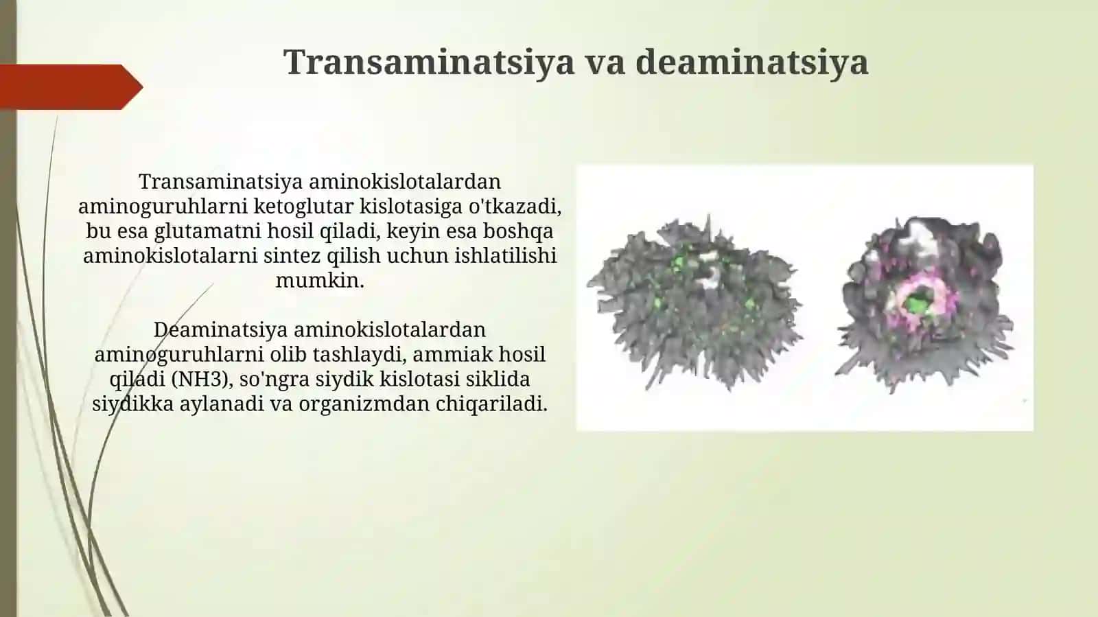 Odam organizmi daoq silarning biokimyoviy ozgarishi 4