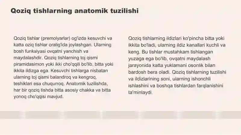 tishlarning xususiy anatomiyasi 4