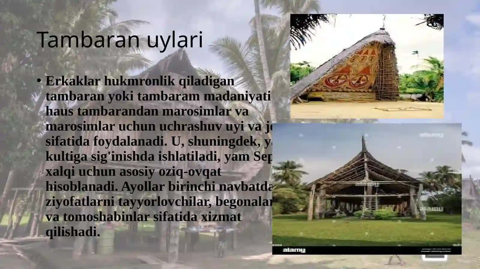 Papuaslarning turar joylaridagi transformatsiyalar 4