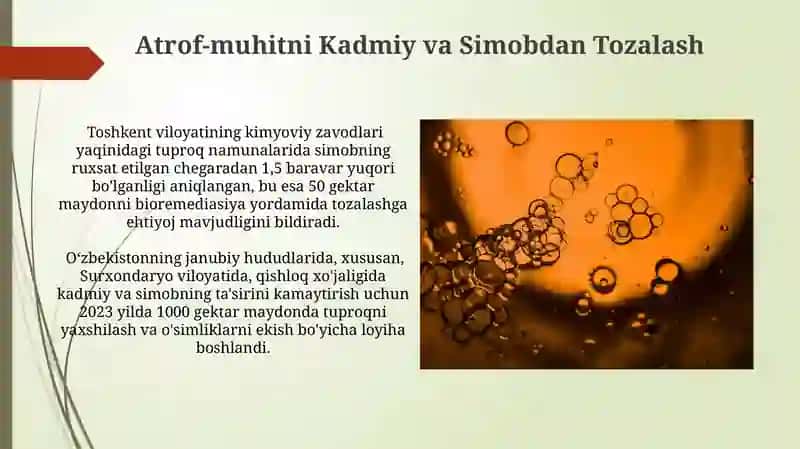Kadmiy, Simob va Ularning Birikmalari 4