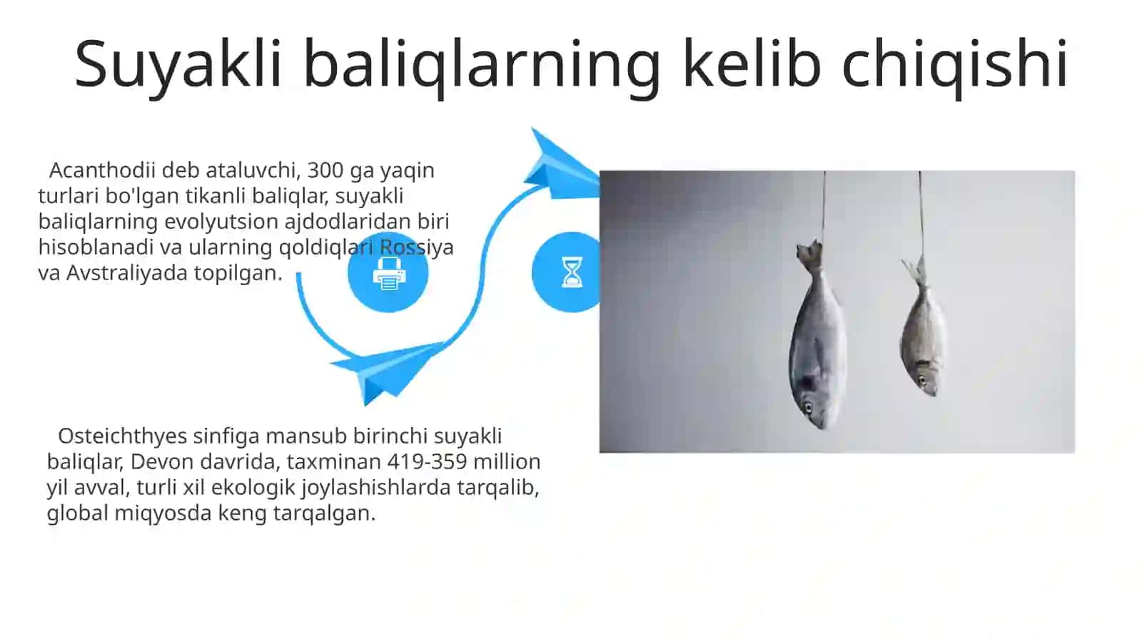 Suyakli baliqlarning kelib chiqishi,sistematikasi va evalutsiyasi 4