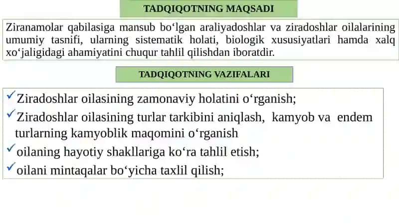 ZIRANAMOLAR QABILASI (ARALIYADOSHLAR, ZIRADOSHLAR) OILALARINING UMUMIY TASNIFI 4