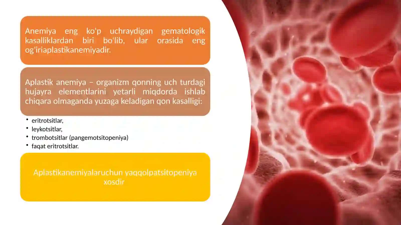 Aplastik anemiya diagnostikasi va davolash 4