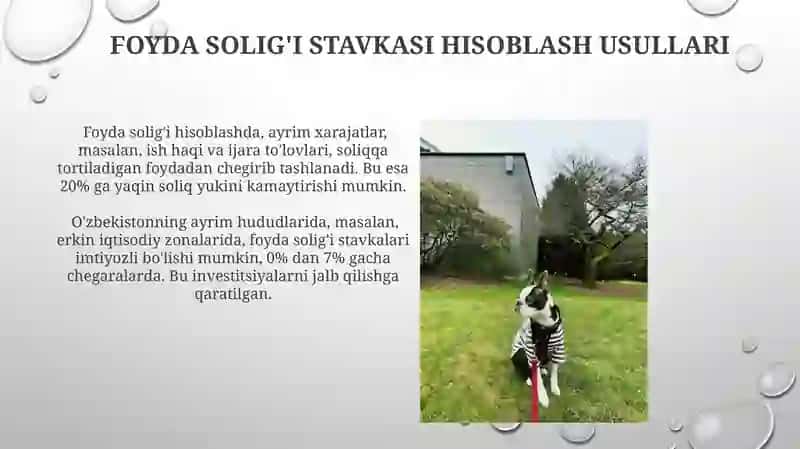 Kichik va O'rta Biznes uchun Foyda Solig'i Stavkasi 4