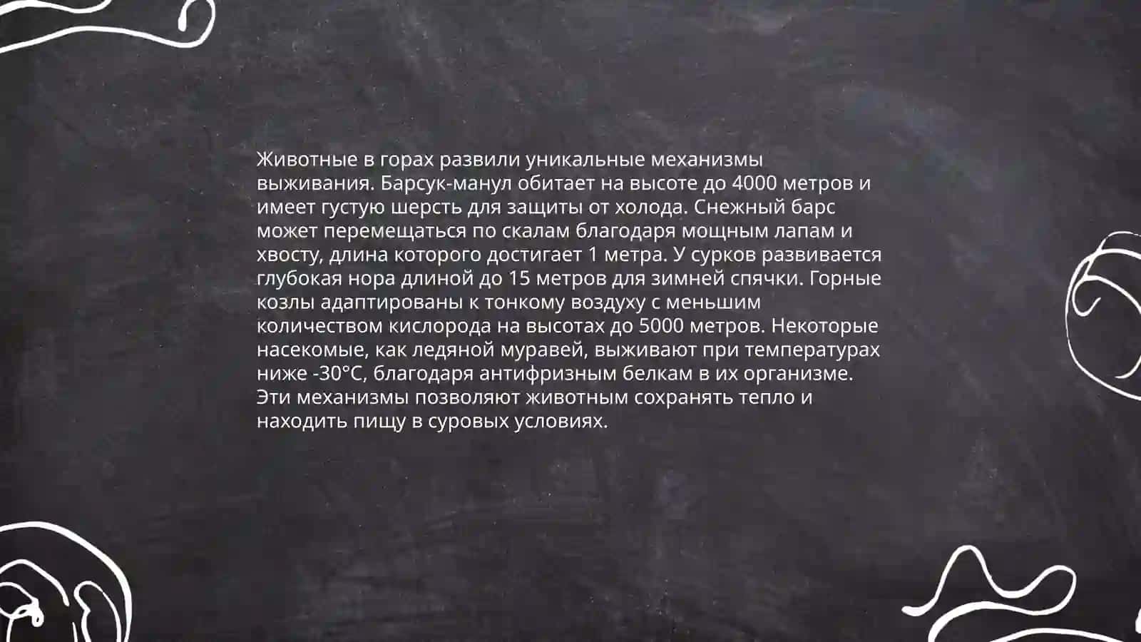 Адаптация растений и животных к жизни в высокогорных районах 4