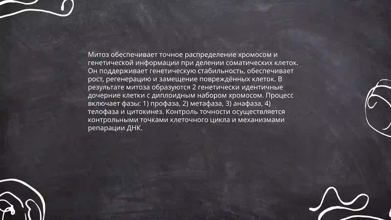 Основные понятия генетики: митоз как способ деления соматических клеток 4