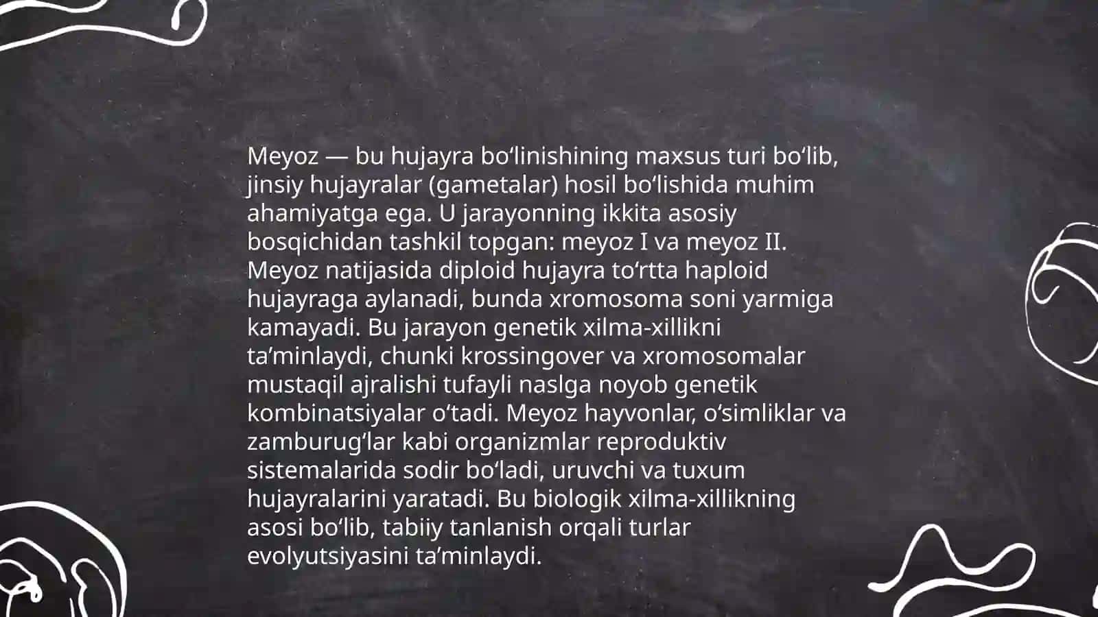Meyoz 4