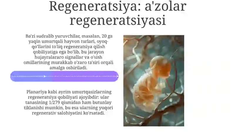 Gastrulyasiya va organogenez 4