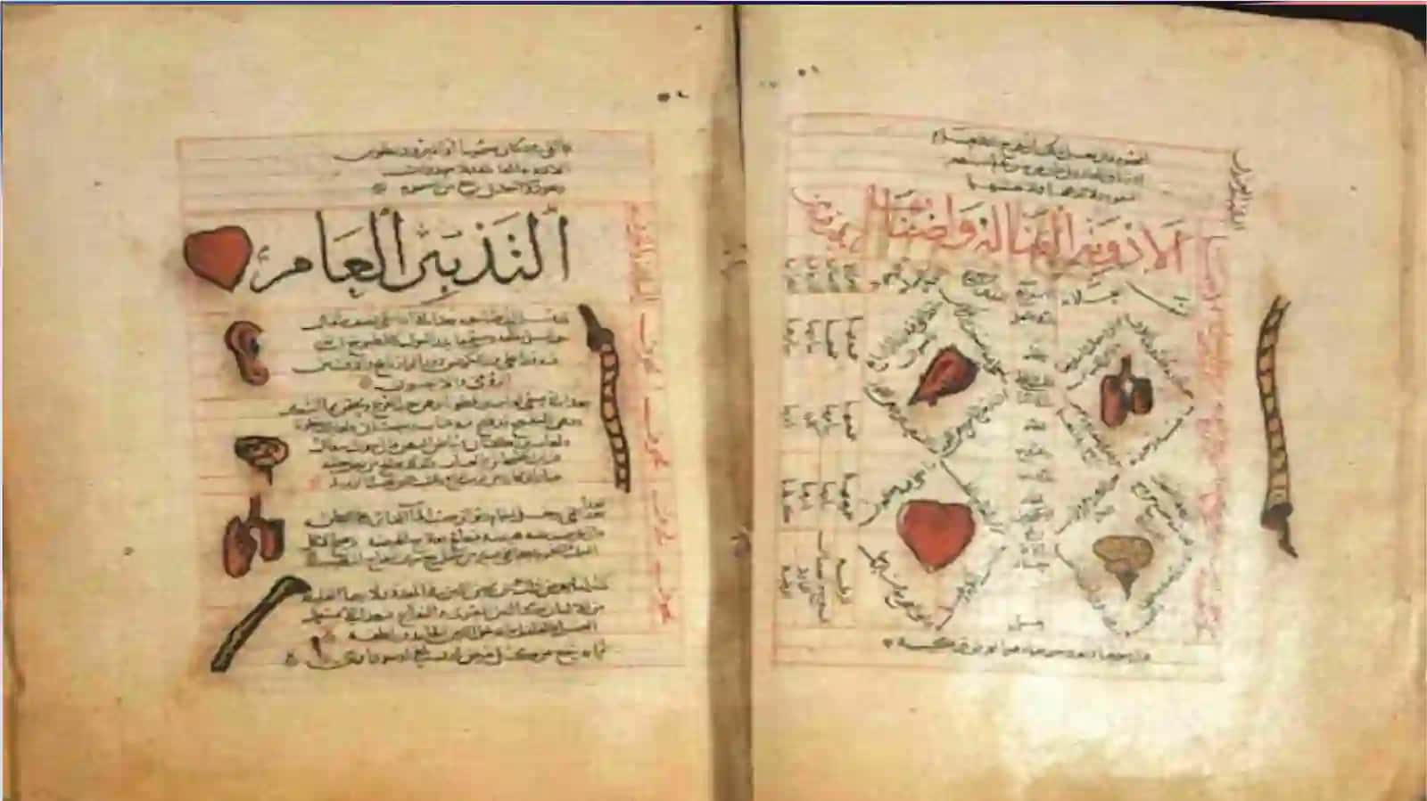 O’rtaasr Sharq allomalari ilmiy merosini o’rganishda Ibn Abi Usaybi’a asarining o’rni 4