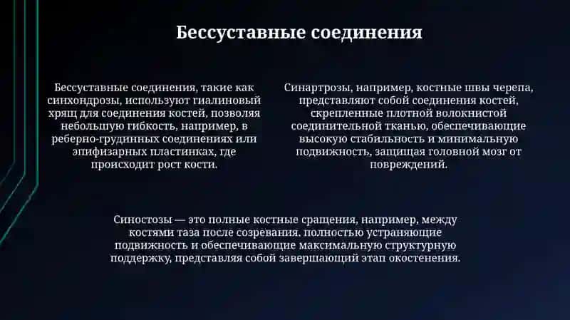Презентация "Анатомия суставов" 4
