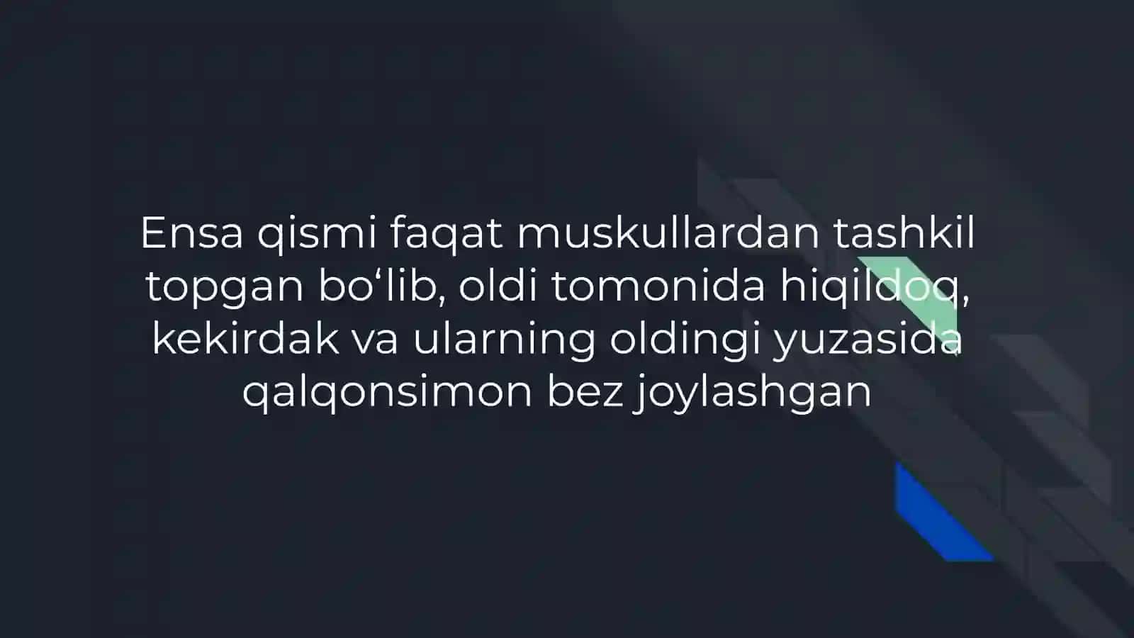 Böyin muwakları fızıologıyası 4