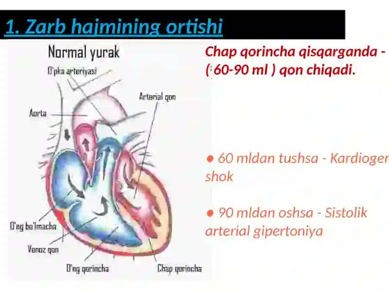 Arterial Gipertenziya 4